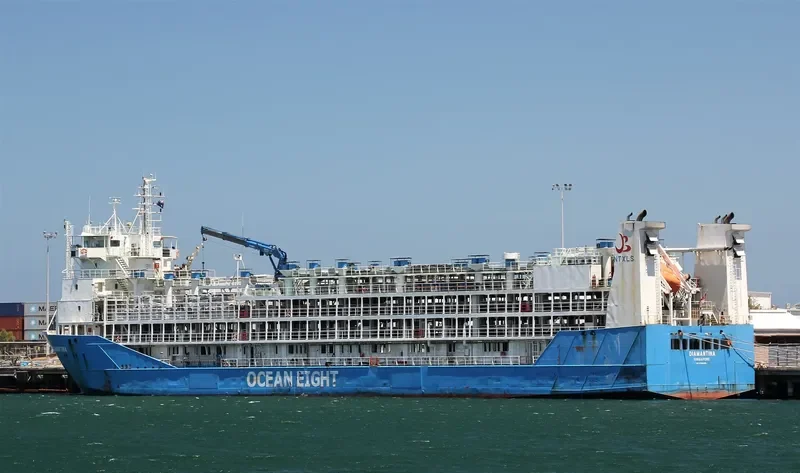 DIAMANTINA General Cargo IMO 9144469 photo 9