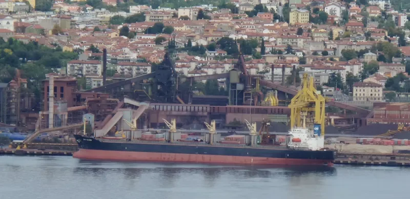 ZHI QIANG Bulk Carrier IMO 9144483 photo 10