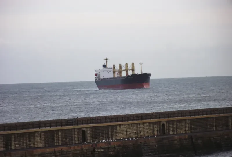 HUA QIANG Bulk Carrier IMO 9144495 photo 10
