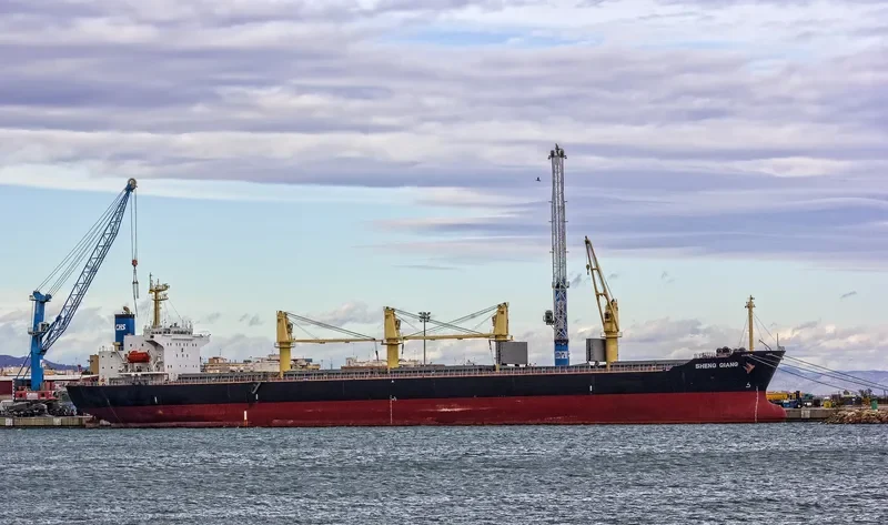 SHENG QIANG Bulk Carrier IMO 9144536 photo 4
