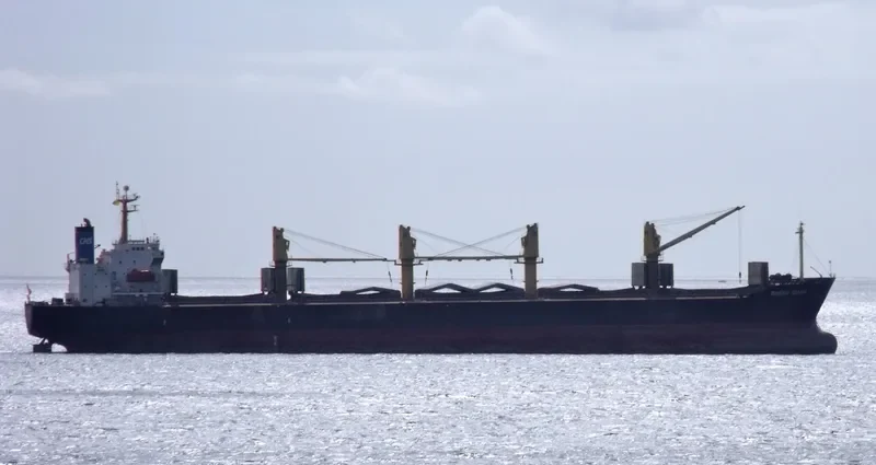 SHENG QIANG Bulk Carrier IMO 9144536 photo 10
