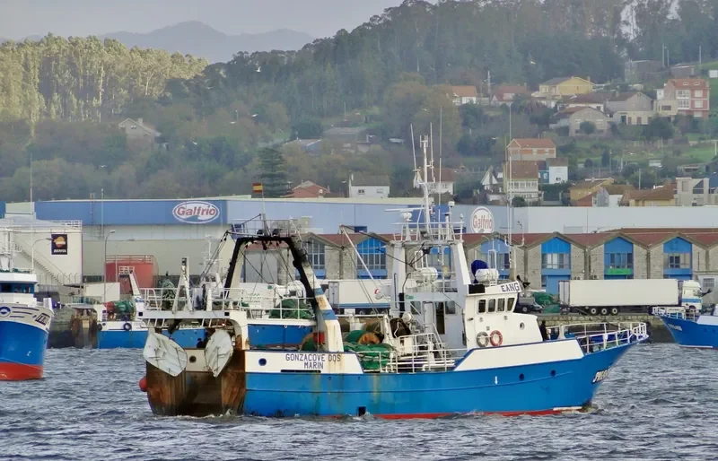 GONZACOVE DOS General Cargo IMO 9144603 photo 2