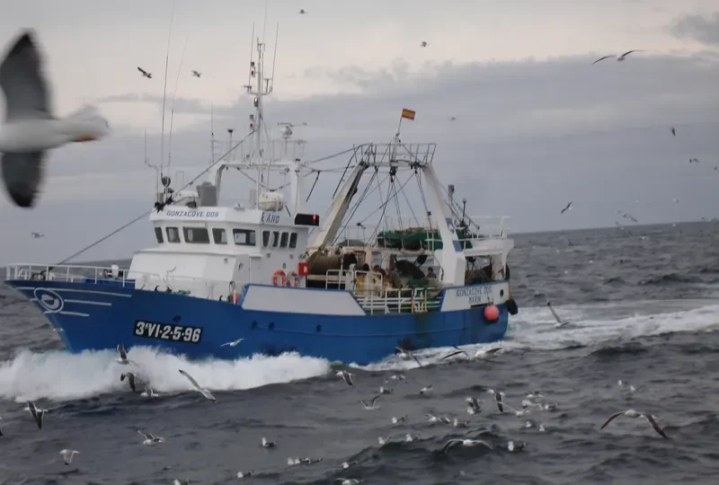 GONZACOVE DOS General Cargo IMO 9144603 photo 5