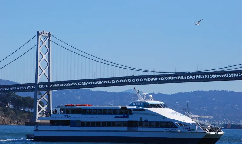 MARE ISLAND Passenger Ship IMO 9144665 photo 6