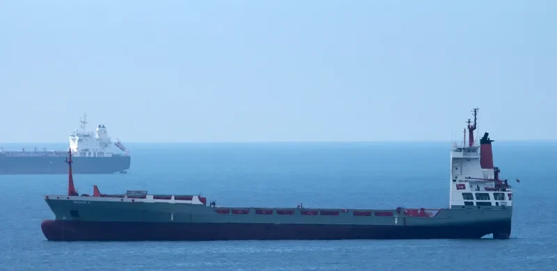 RENATE P Container Ship IMO 9144718 photo 4