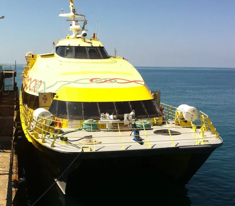 SOCHI 1 Passenger Ship IMO 9144976 photo 7