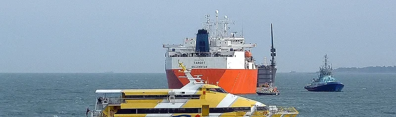 SOCHI 1 Passenger Ship IMO 9144976 photo 9