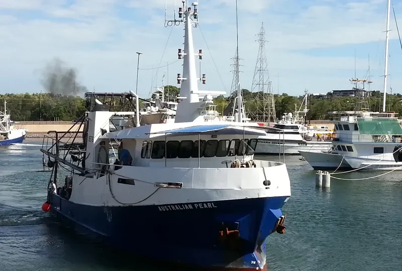 AUSTRALIAN PEARL General Cargo IMO 9144988