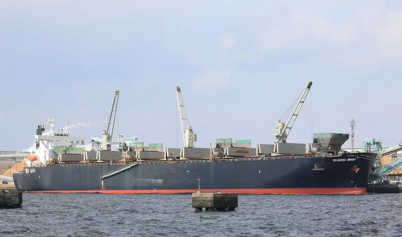 GODSPEED 6666 Bulk Carrier IMO 9145035 photo 3