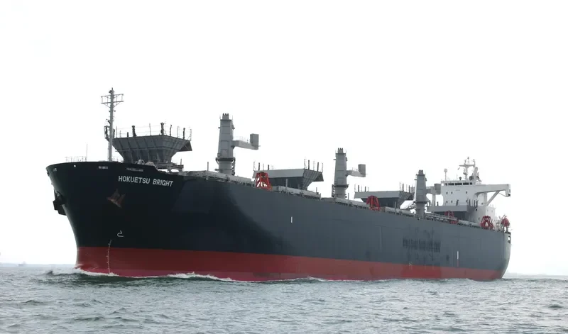 GODSPEED 6666 Bulk Carrier IMO 9145035 photo 4