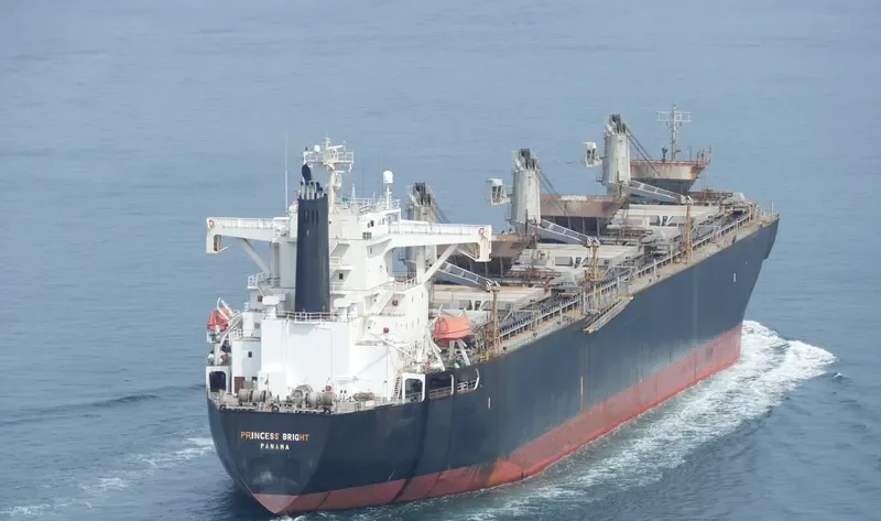 GODSPEED 6666 Bulk Carrier IMO 9145035 photo 6