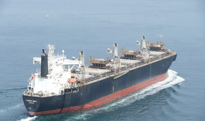 GODSPEED 6666 Bulk Carrier IMO 9145035 photo 7
