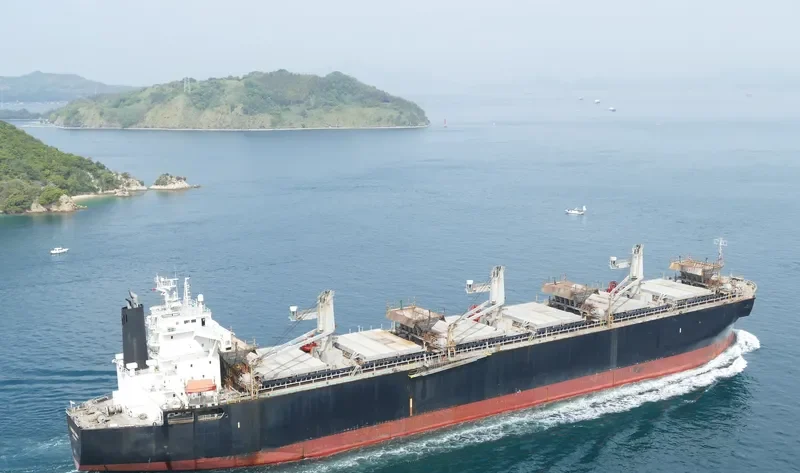 GODSPEED 6666 Bulk Carrier IMO 9145035 photo 8