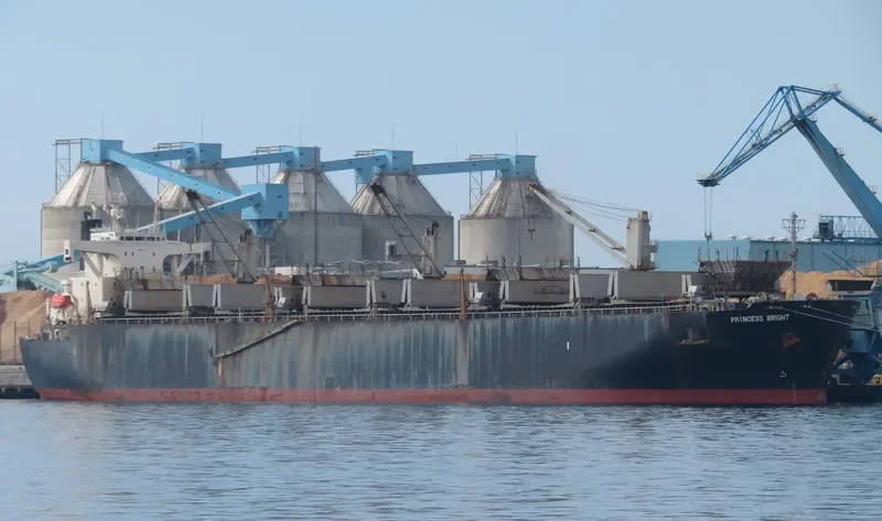 GODSPEED 6666 Bulk Carrier IMO 9145035 photo 10