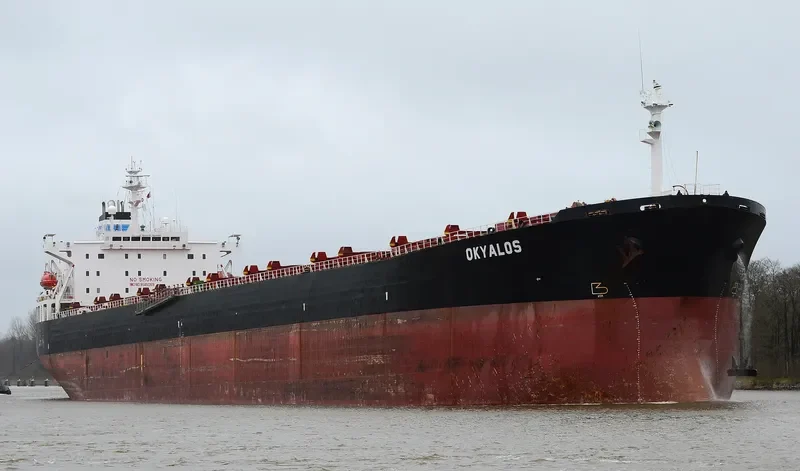 XIN HAI ZHOU 71 Bulk Carrier IMO 9145059 photo 10