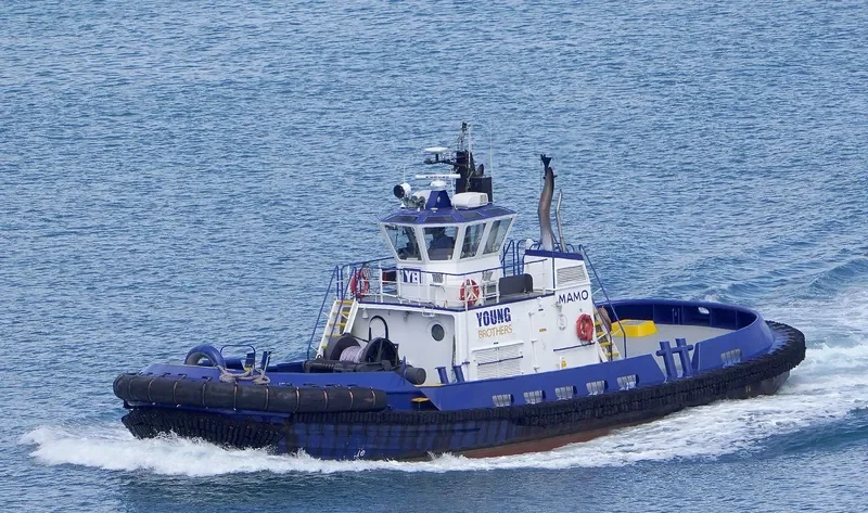 MAMO General Cargo IMO 9145190 photo 6