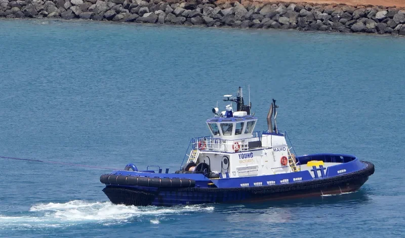 MAMO General Cargo IMO 9145190 photo 7