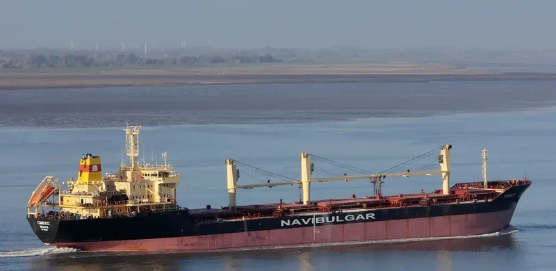 TZAREVETZ Bulk Carrier IMO 9145229 photo 2