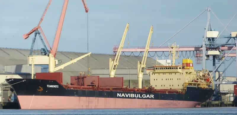 TZAREVETZ Bulk Carrier IMO 9145229 photo 4
