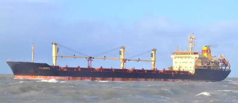 TZAREVETZ Bulk Carrier IMO 9145229 photo 6