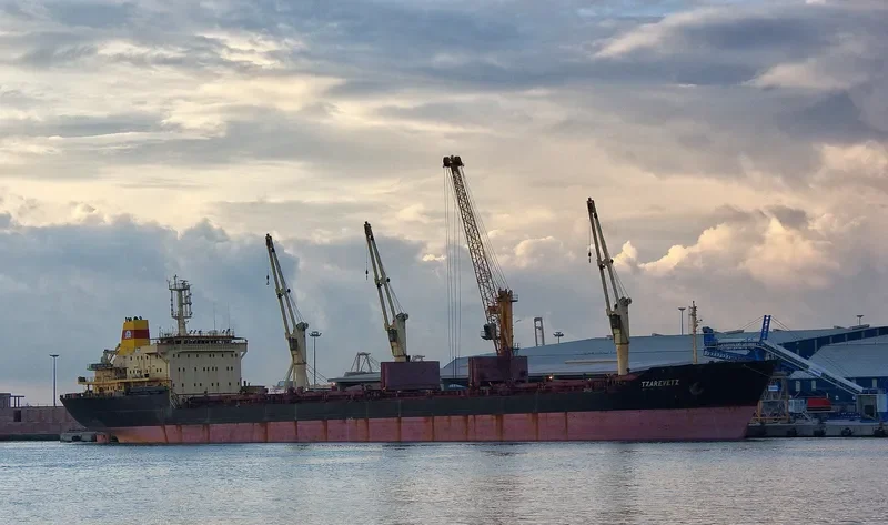 TZAREVETZ Bulk Carrier IMO 9145229 photo 7