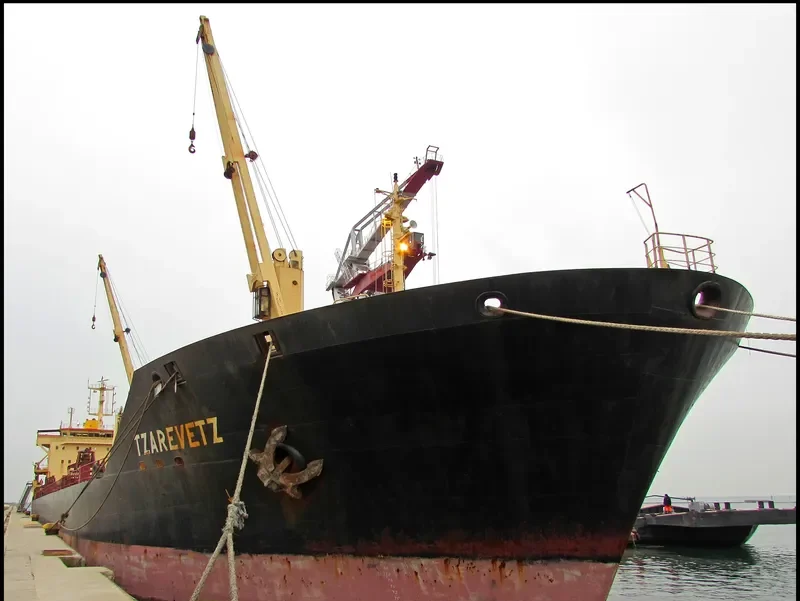 TZAREVETZ Bulk Carrier IMO 9145229 photo 8