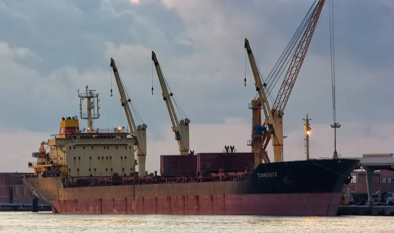 TZAREVETZ Bulk Carrier IMO 9145229 photo 9