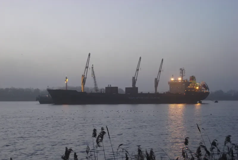 TZAREVNA Bulk Carrier IMO 9145231