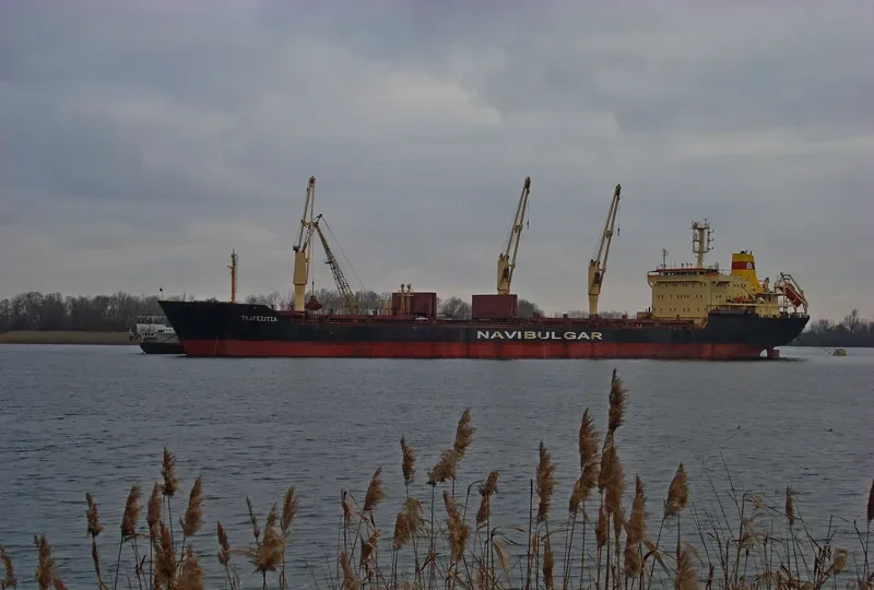 TZAREVNA Bulk Carrier IMO 9145231 photo 3