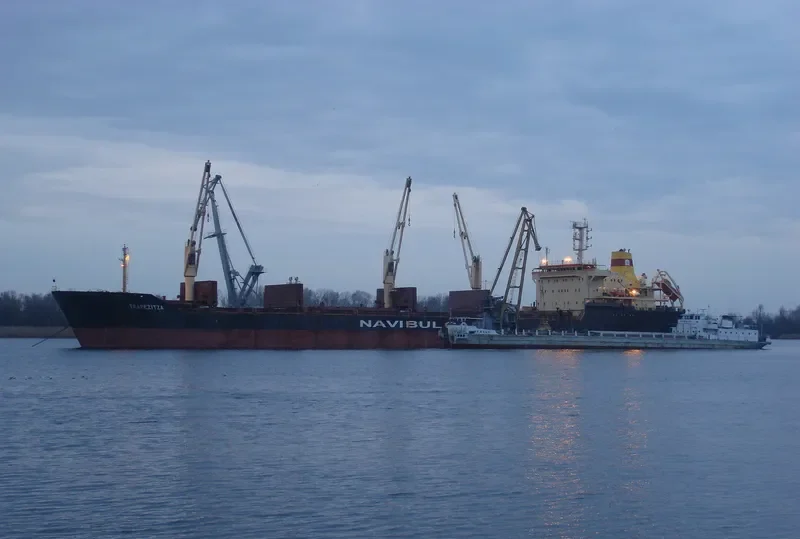 TZAREVNA Bulk Carrier IMO 9145231 photo 5