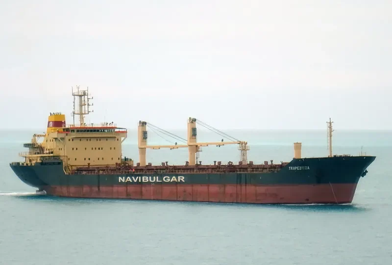 TZAREVNA Bulk Carrier IMO 9145231 photo 6
