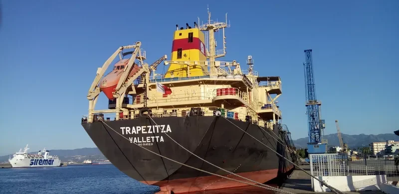 TZAREVNA Bulk Carrier IMO 9145231 photo 7