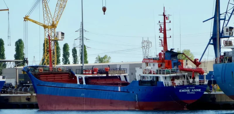 EMINE ANNE General Cargo IMO 9145360 photo 7