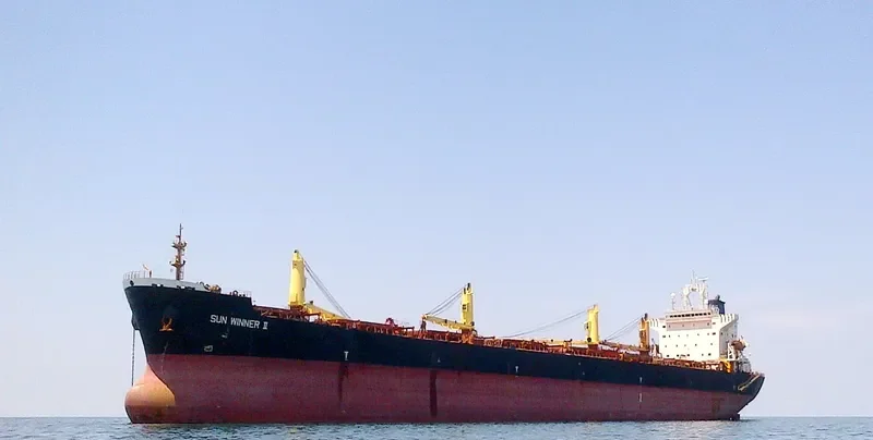 SUN WINNER II Bulk Carrier IMO 9145530 photo 3