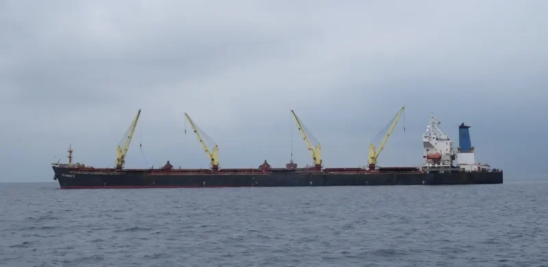 SUN WINNER II Bulk Carrier IMO 9145530 photo 5