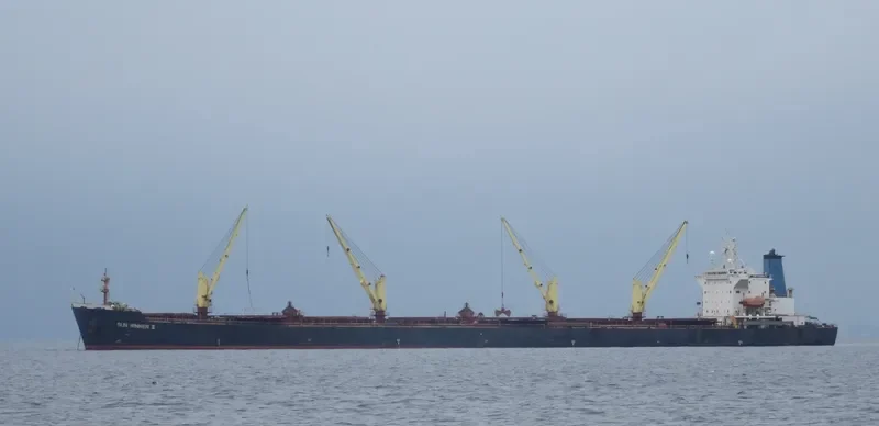 SUN WINNER II Bulk Carrier IMO 9145530 photo 6