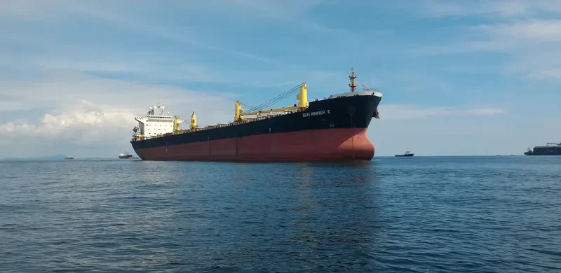 SUN WINNER II Bulk Carrier IMO 9145530 photo 7