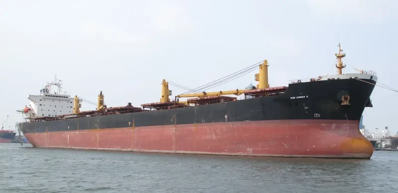 SUN WINNER II Bulk Carrier IMO 9145530 photo 9