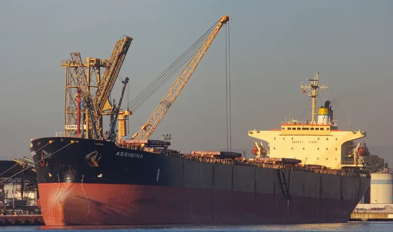 ASSIMINA Bulk Carrier IMO 9145669