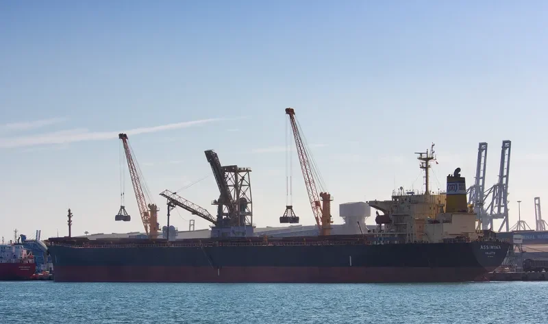 ASSIMINA Bulk Carrier IMO 9145669 photo 2