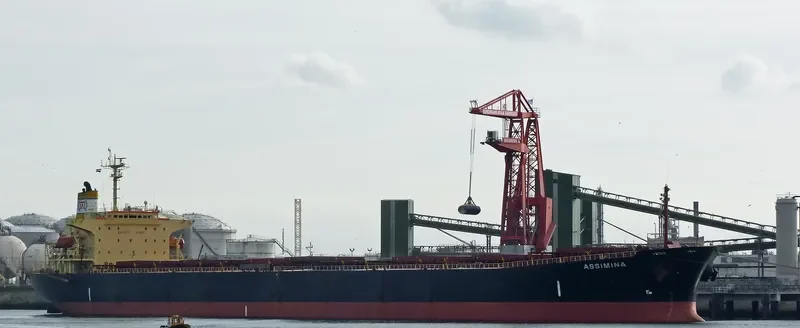 ASSIMINA Bulk Carrier IMO 9145669 photo 3