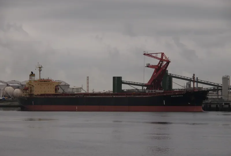 ASSIMINA Bulk Carrier IMO 9145669 photo 5
