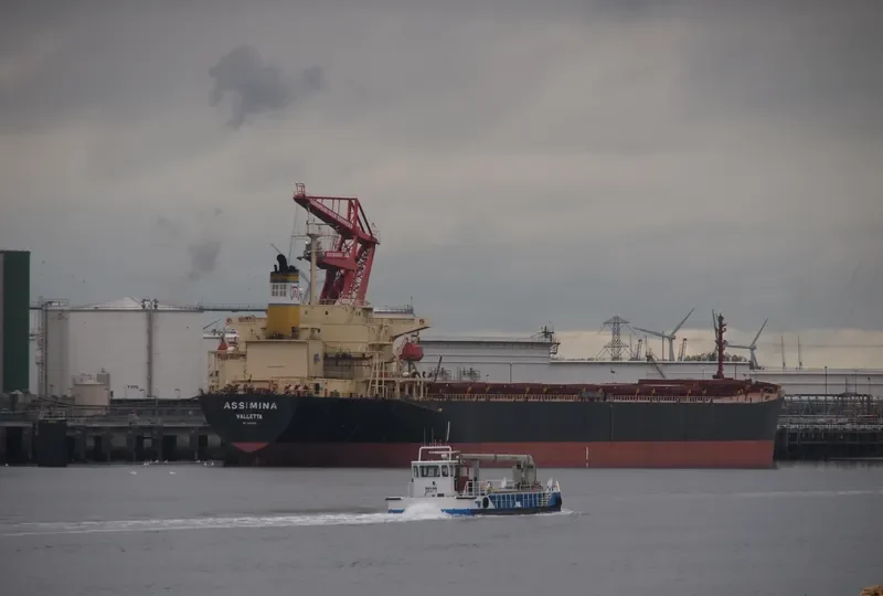ASSIMINA Bulk Carrier IMO 9145669 photo 6