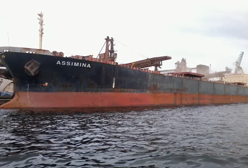 ASSIMINA Bulk Carrier IMO 9145669 photo 7