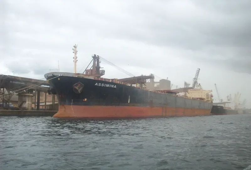 ASSIMINA Bulk Carrier IMO 9145669 photo 8