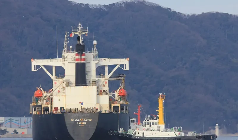 HAO HUNG 66 Bulk Carrier IMO 9145671