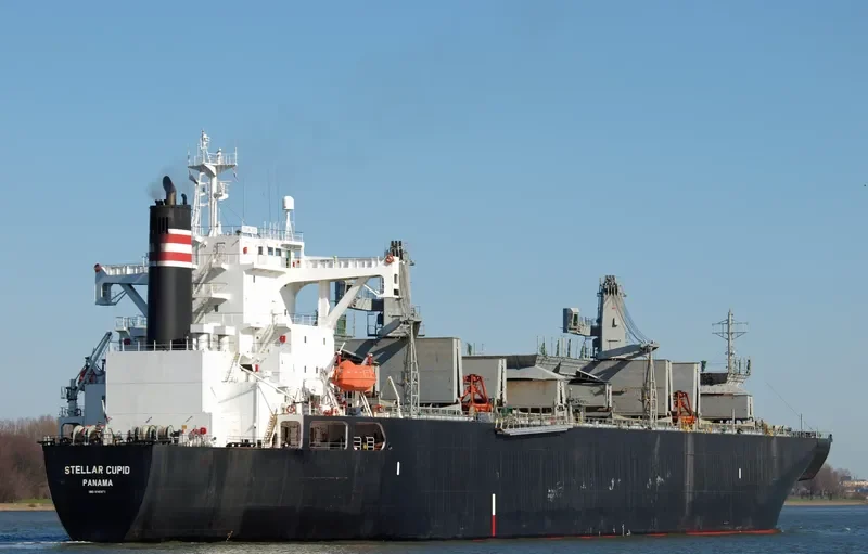 HAO HUNG 66 Bulk Carrier IMO 9145671 photo 3