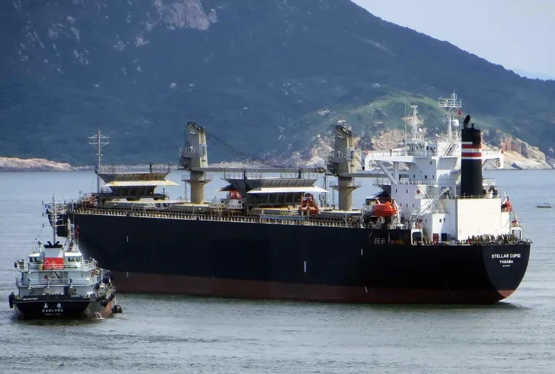 HAO HUNG 66 Bulk Carrier IMO 9145671 photo 6