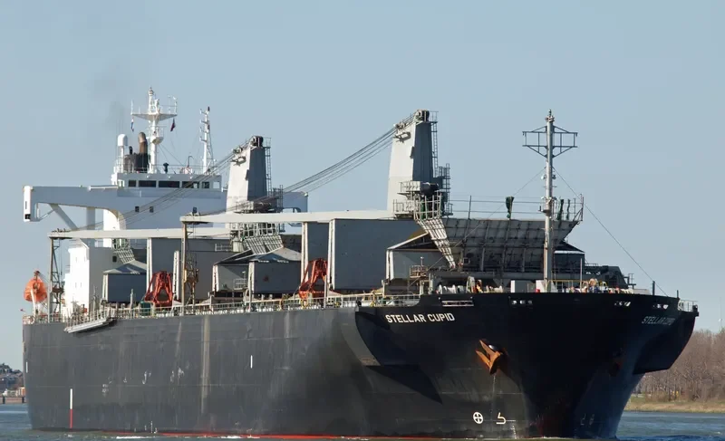 HAO HUNG 66 Bulk Carrier IMO 9145671 photo 8