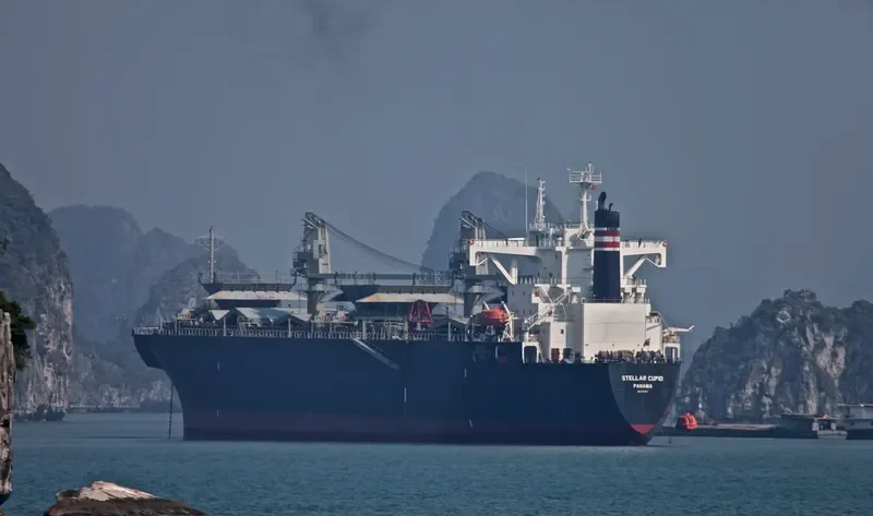 HAO HUNG 66 Bulk Carrier IMO 9145671 photo 9